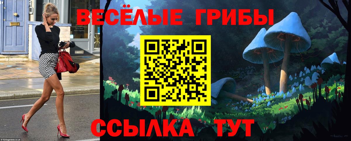 Галлюциногенные грибы мицелий Железноводск